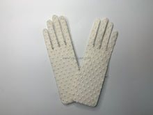 Load image into Gallery viewer, FS-024 - 17 inches Dotted Netting Gloves (1 Colour)
