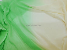 Load image into Gallery viewer, FS-1181PD - India Ombre Chiffon (9 colours)