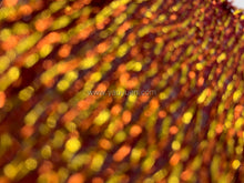 Load image into Gallery viewer, FS-21149 - India Striped Soft Brocade (3 Colours)