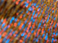 Load image into Gallery viewer, FS-21149 - India Striped Soft Brocade (3 Colours)