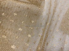 Load image into Gallery viewer, FS-21466A - India Metallic Dotted Net (2 Colours)