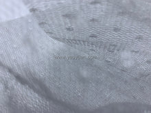 Load image into Gallery viewer, FS-21466A - India Metallic Dotted Net (2 Colours)