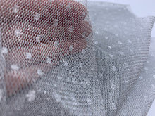 Load image into Gallery viewer, FS-21466A - India Metallic Dotted Net (2 Colours)