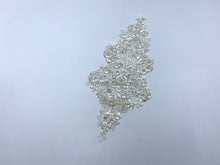 Load image into Gallery viewer, FS-2171 - Embroidered Motif Lace - Pcs (1 colour)