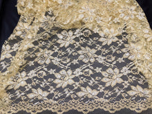 Load image into Gallery viewer, FS-4079 - Japan Metallic Lace (17 Colours)