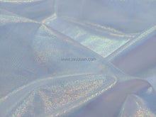 Load image into Gallery viewer, FS-6478 - Japan Hologram Organza (1 Colour)