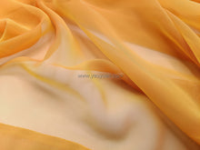 Load image into Gallery viewer, FS-5198 - Japan Two-tone Chiffon (24 Colours)
